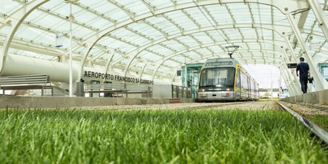 Untitled 1 1 640 320